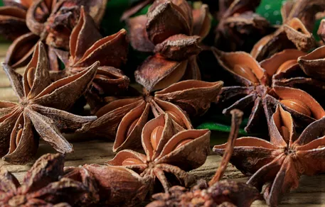 Star Anise