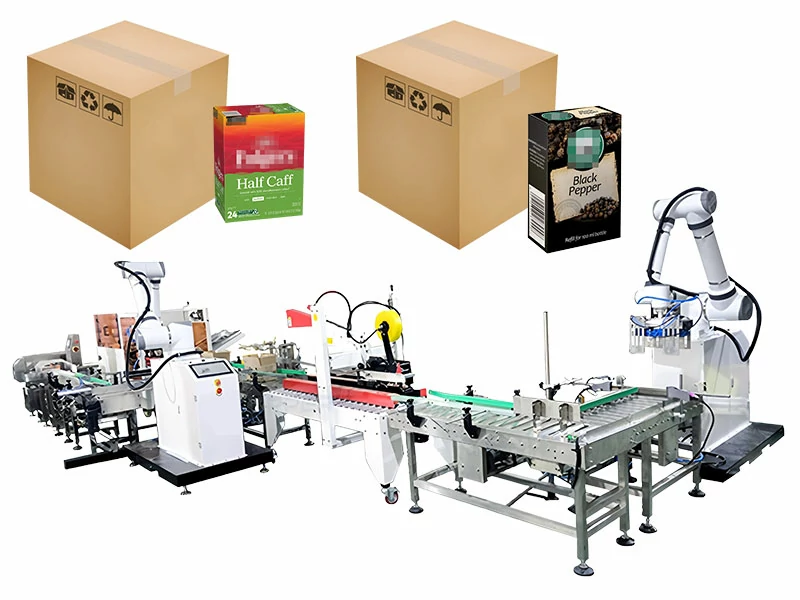 Automatic Box Case Carton Erector Robot Palletizer Packing System