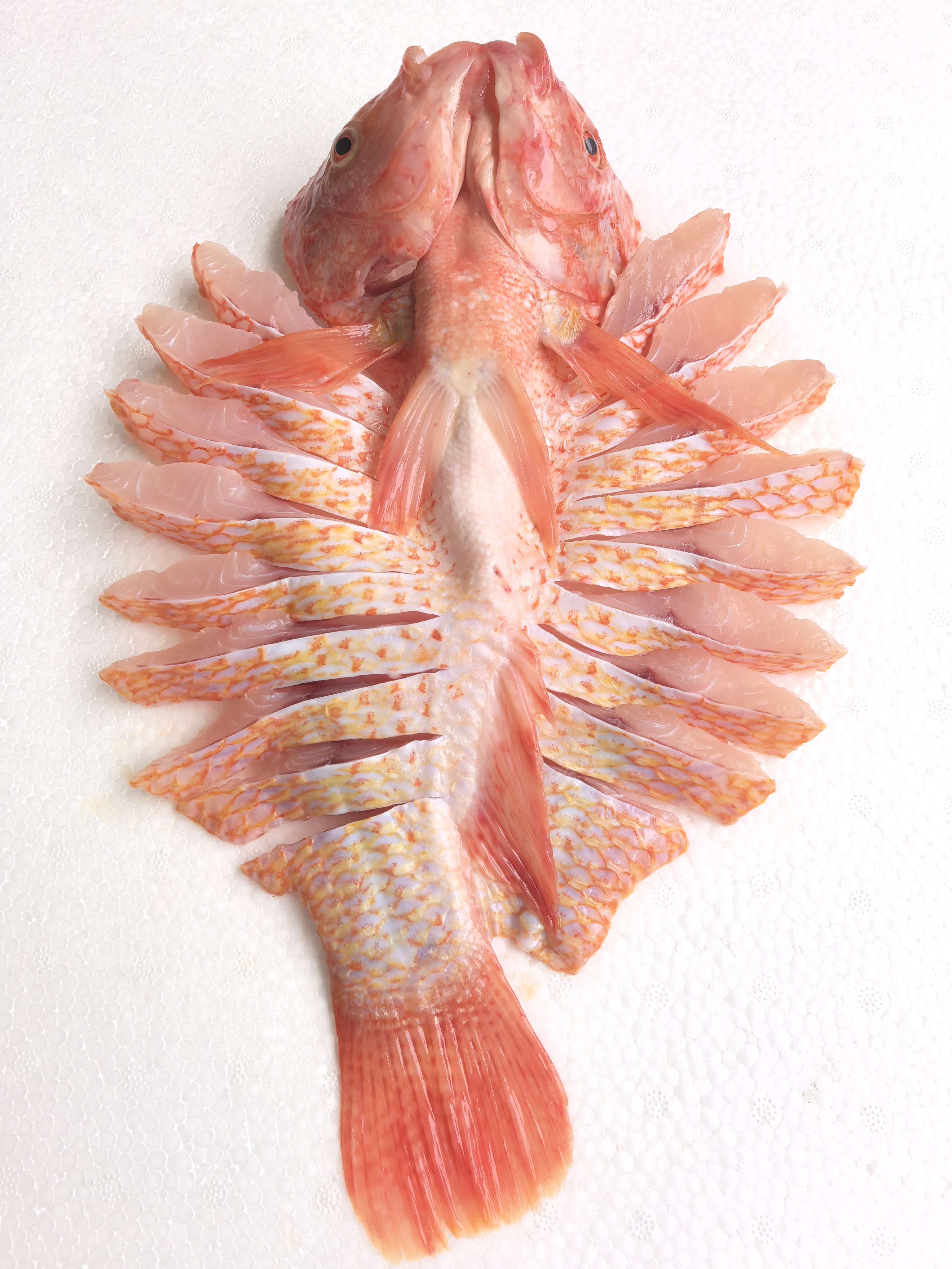 Red Tilapia Wholesale Supplier | Frozen Whole Fish