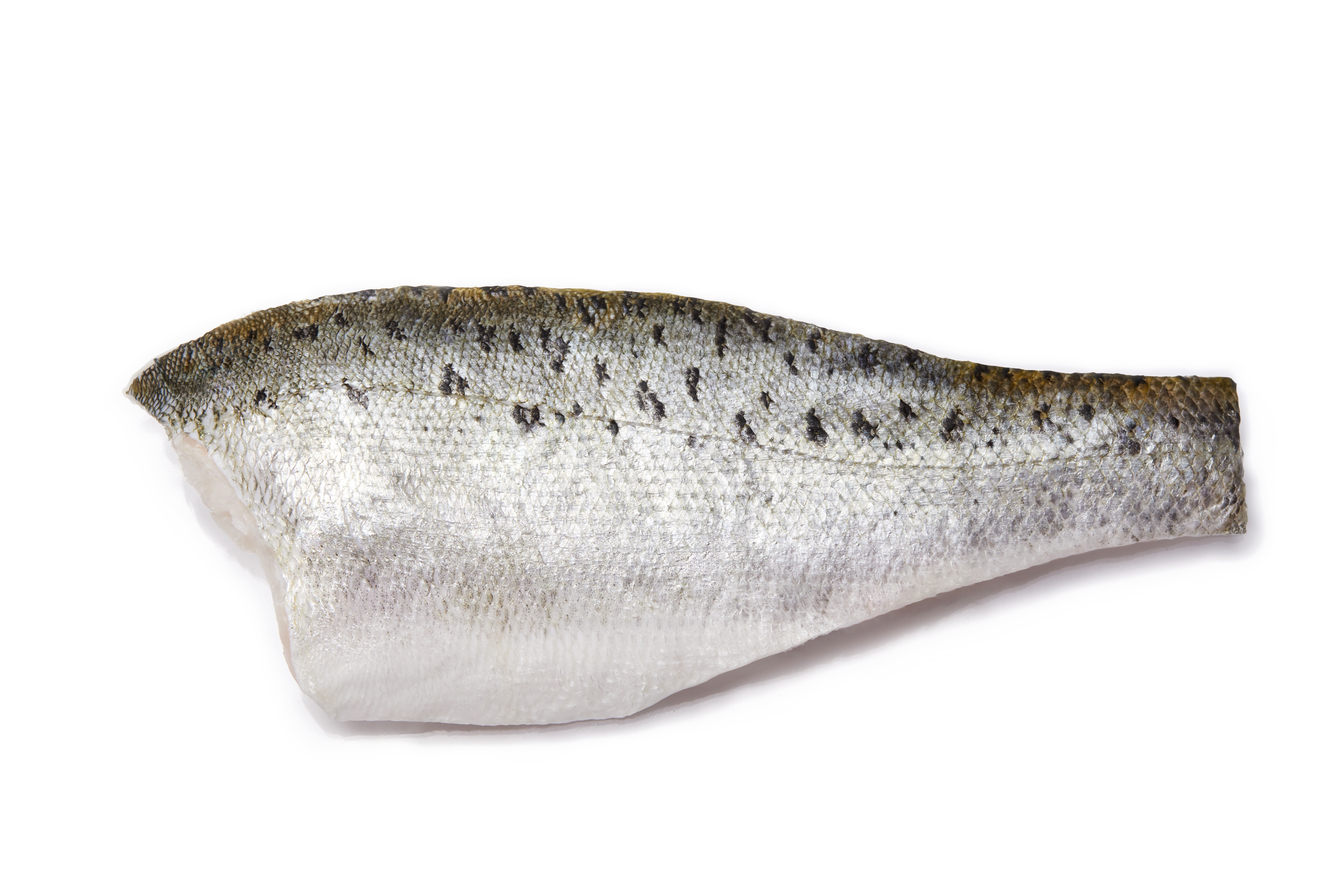 Sea Bass Wholesale Supplier | Frozen Whole Fish