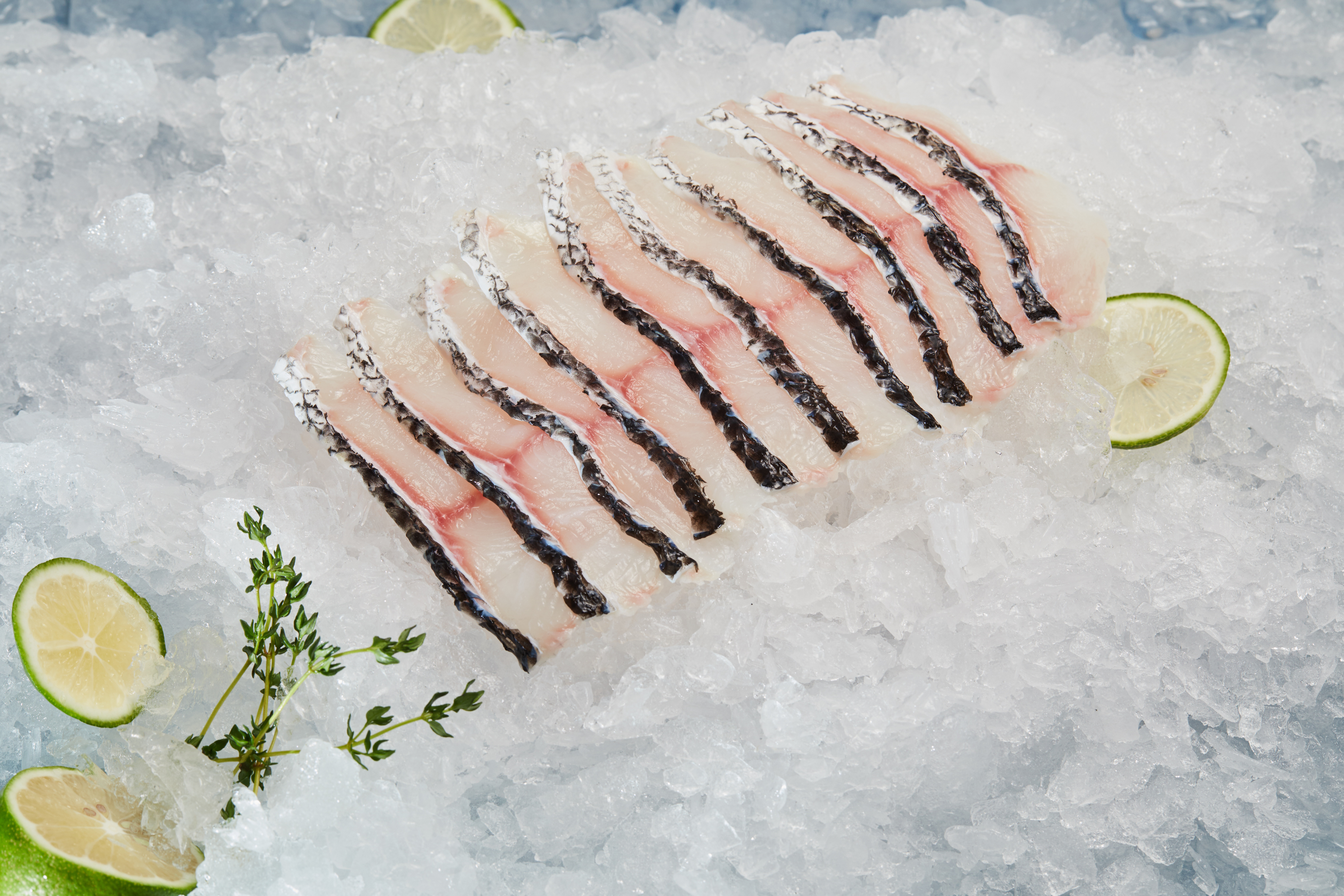 Snakehead Wholesale Supplier | Frozen Whole Fish