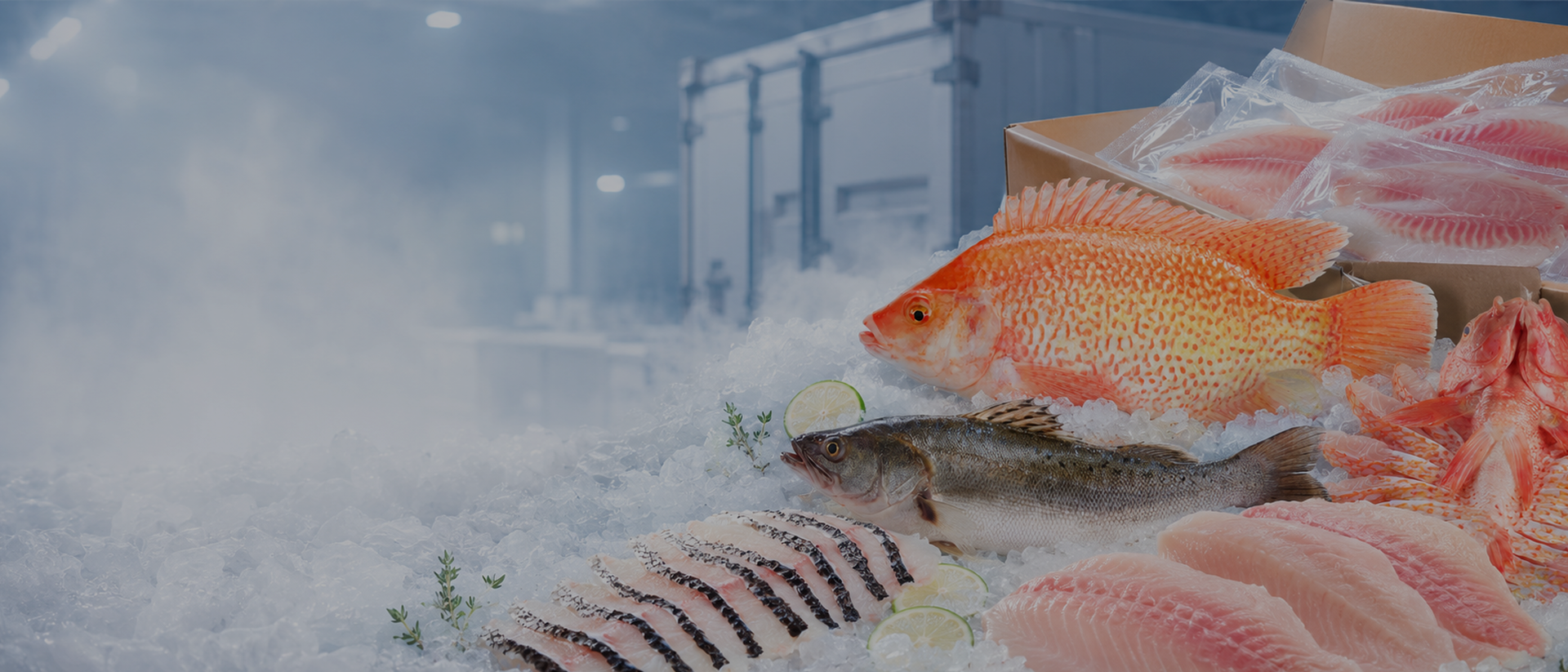 Reliable Frozen Seafood Supplier for Global Buyers