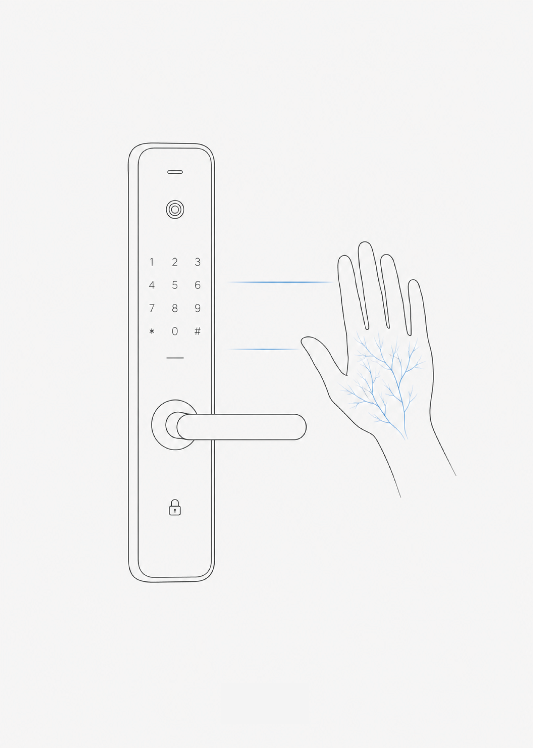 Palm Vein.png