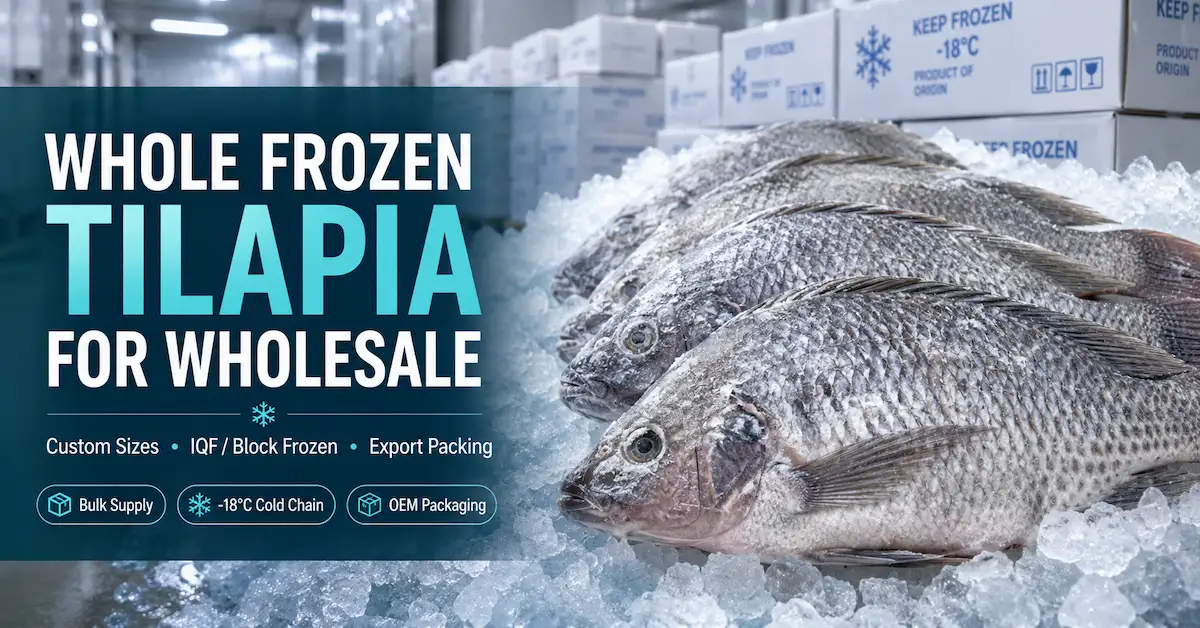 Whole Frozen Tilapia for Wholesale: How to Choose Sizes, Freezing and Packing