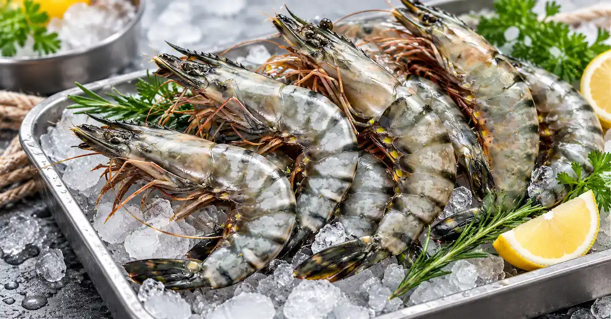 frozen black tiger shrimp supplier